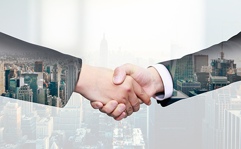 辦理公司執(zhí)照：流程、所需材料及注意事...